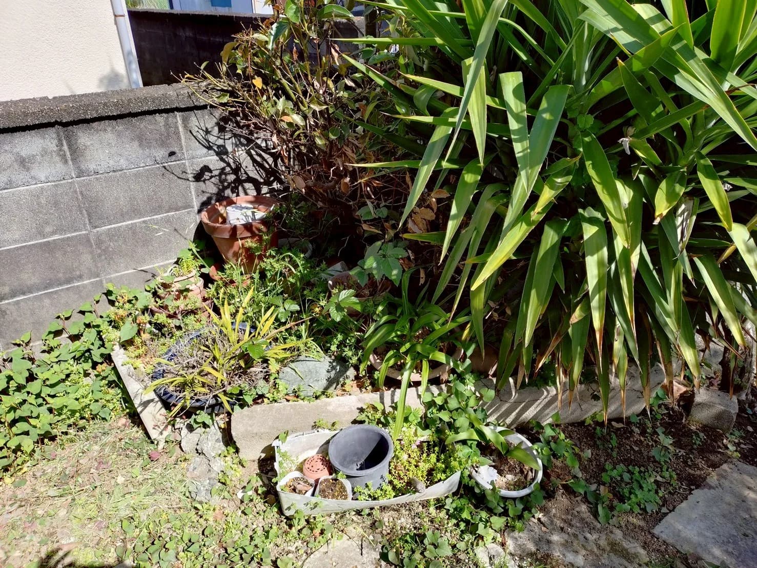 遺品整理の作業前の様子 5